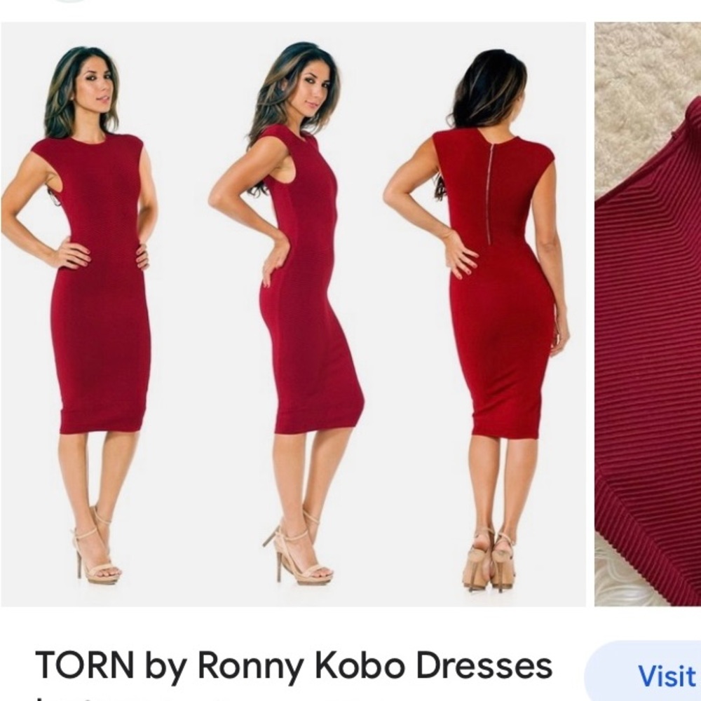 Torn by Ronny Kobo Kikimora sheath dress size M